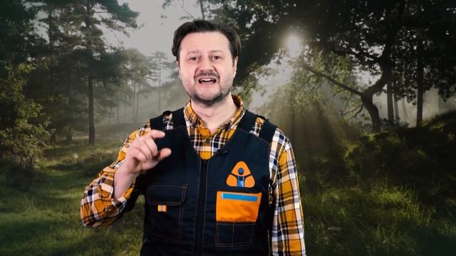 Сила леса смотреть онлайн