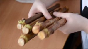 Как сделать жердочки и погрызушки?  #Волнистый #попугай #уроки по уходу и содержанию