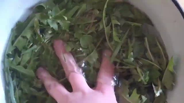 Сделала кальцисмесь/Уборка у улиток ?