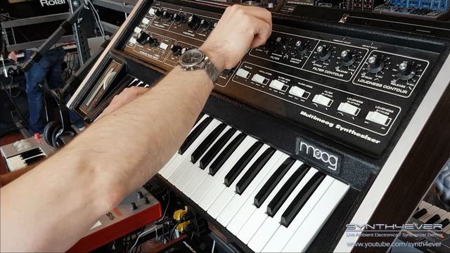 MOOG MULTIMOOG analog synthesizer - Synth sounds demo смотреть онлайн
