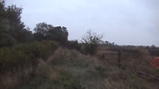 Состязания спаниелей по фазану 2011 г. Часть 2. смотреть онлайн