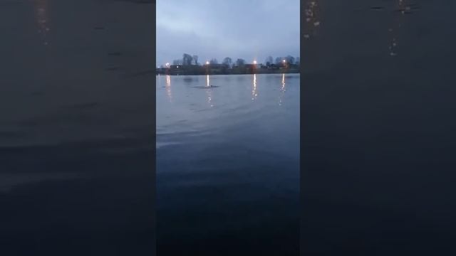 В Сыктывкаре из ледяной воды реки вытащили мужчину в одних трусах смотреть онлайн
