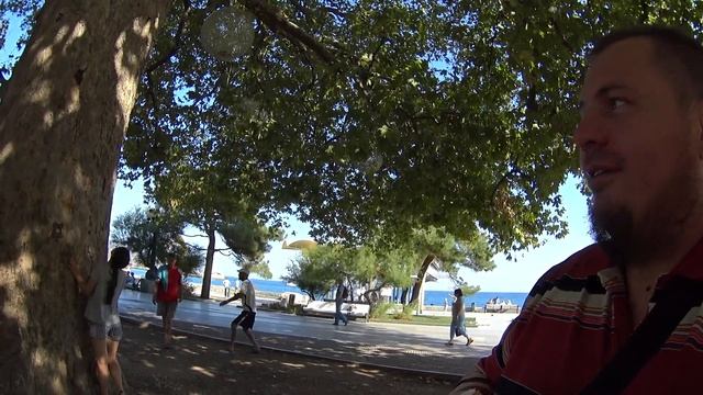 Новая история ЯЛТИНСКОГО ПЛАТАНА или посылка НЕМЫСЛИМОЙ благодарности смотреть онлайн