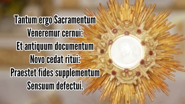 Tantum ergo Sacramentum lyrics/ Holy Hour Hymn/Eucharistic Adoration/ Chant Catholic смотреть онлайн