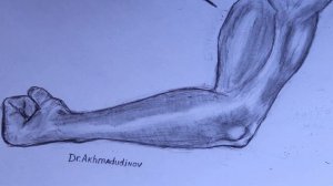 Пункция локтевого сустава