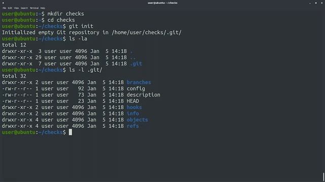 Introduction to Git and GitHub | Week 1 | First Steps with Git | By Google смотреть онлайн