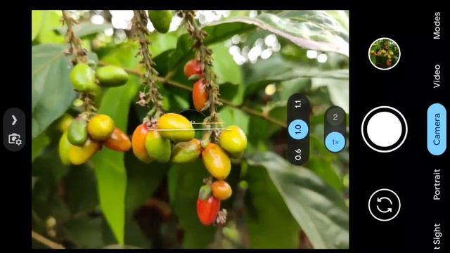 Gcam 8.8 Config File || How To Set Config File In Your Gcam With Best Settings ! ?.