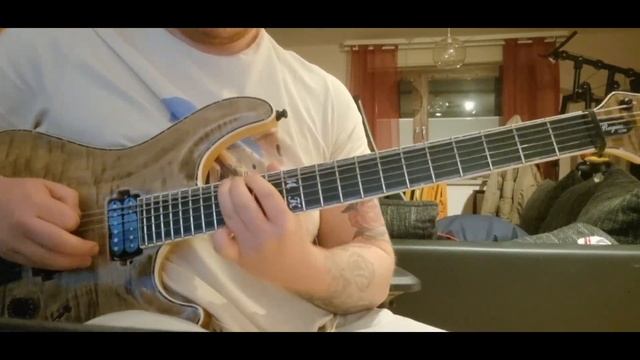 Bleed From Within - Flesh And Stone (guitar cover) (Kemper Metal Tone) смотреть онлайн