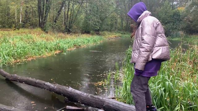 ПОГИБЛИ ЧЕРЕПАХИ? Черепашье озеро Воронежская область смотреть онлайн