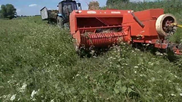 ЮМЗ 6 Прессподборщик sipma Опять до Тюковалися смотреть онлайн