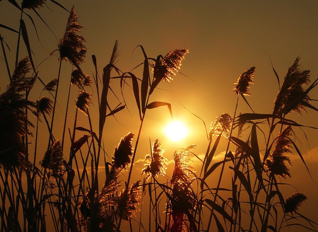 Раннее утро