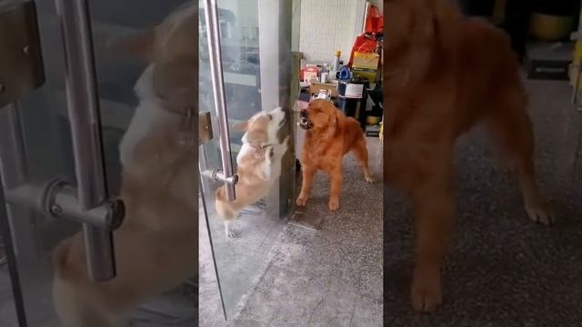 Пообщались...? смотреть онлайн