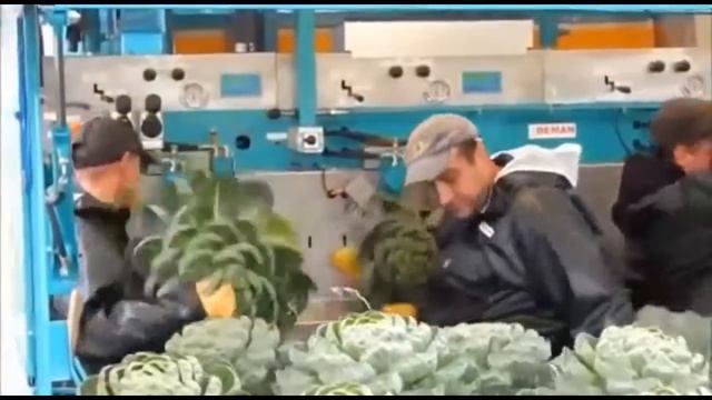 Невероятная сх техника. Лучшие тракторы и комбайны смотреть онлайн