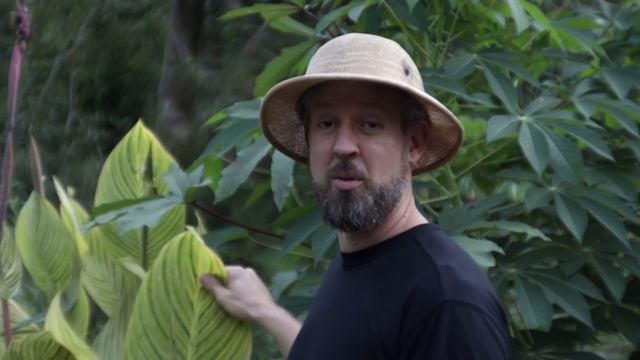 No-Till, SCHMO-TILL! Hey, Do You Want to Grow LOTS of Food OR NOT? смотреть онлайн