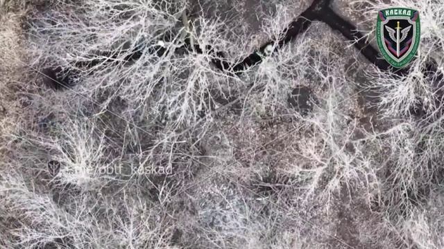 Операторы БЛА ОБТФ ДНР "Каскад" на Угледарском направлении уничтожают ВСУ смотреть онлайн