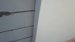 как защитить утеплитель от мышей