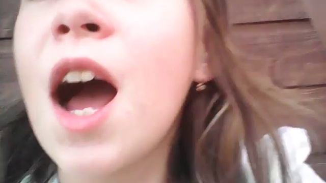 Как приучить Хаску к катенку!!! смотреть онлайн