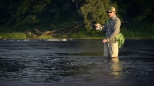 Спиннинг Cara Fishing Noble II Trout S592UL. Обзор бюджетного спиннинга.