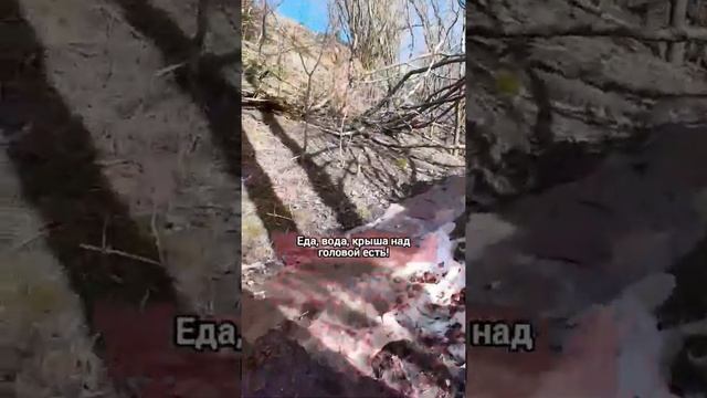 Тропа к пещерам. Саблинский заповедник под Петербургом #shorts смотреть онлайн