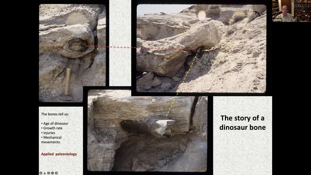 Applied Paleontology (02/10/2023) Charles E. Miller, Jr. PhD смотреть онлайн