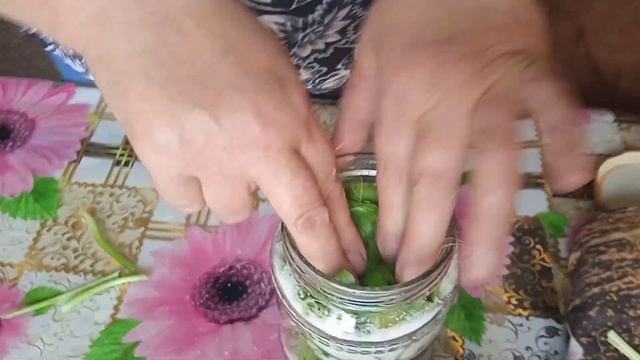 подорожник и его лечебные свойства #народнаямедицина смотреть онлайн