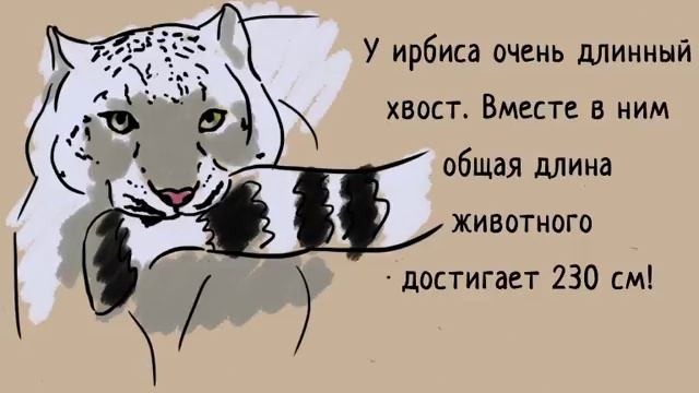 Ирбис. Снежный барс смотреть онлайн