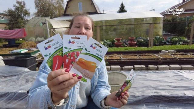 Ну как без зеленцов на Новый год! Подготовка к посадке огорода на подоконнике. смотреть онлайн