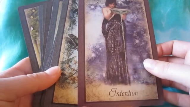 Vintage Wisdom Oracle Review смотреть онлайн