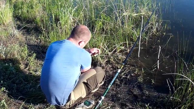 Ловля Африканских сомов. п.Асан смотреть онлайн