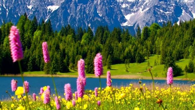 У вечности в плену🎼🎵🎶Красивая музыка смотреть онлайн