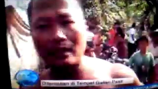 White cobra snake from west java, indonesia. смотреть онлайн