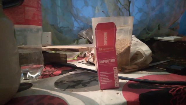 пропойка для цыплят смотреть онлайн