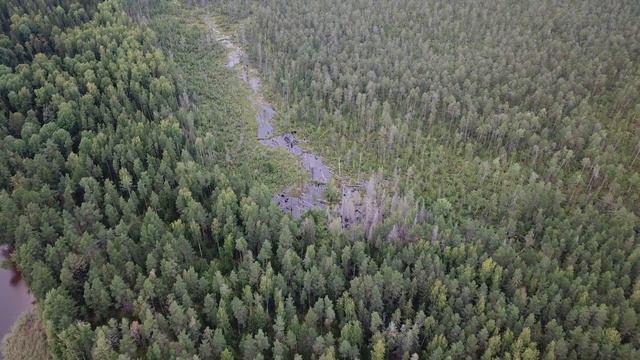 Свирь Лето смотреть онлайн