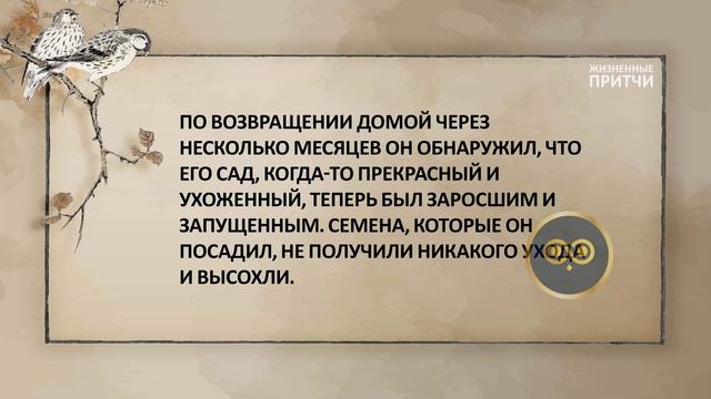 Семена мечты. Как не упустить свой шанс #жизненныепритчи смотреть онлайн