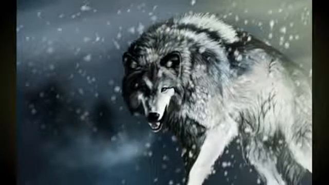 Одинокий волк смотреть онлайн