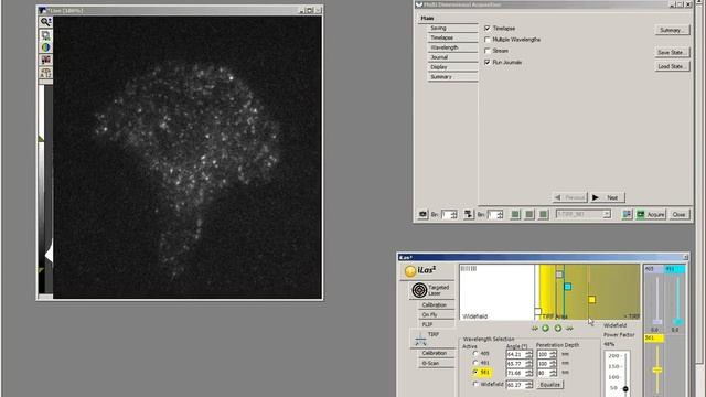 TIRF микроскопия - Система освещения iLas 2 смотреть онлайн