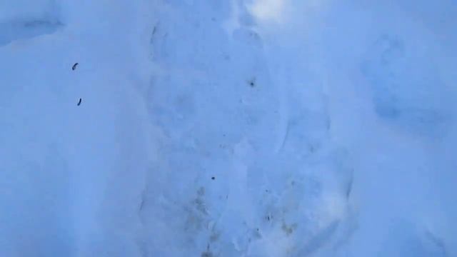 Приятные звуки. Скрип снега под ногами. смотреть онлайн