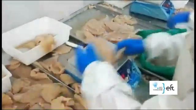 ИНТЕЛЛЕКТУАЛЬНАЯ МАШИНА ДЛЯ ГОРИЗОНТАЛЬНОЙ НАРЕЗКИ IFQJ500-II.mp4 смотреть онлайн