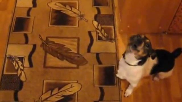 классно поет))) смотреть онлайн