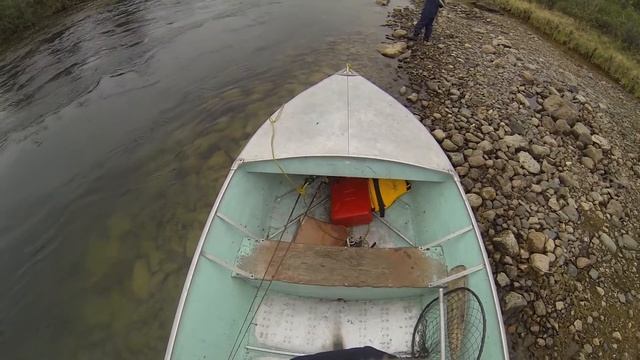 Kazan Grayling смотреть онлайн