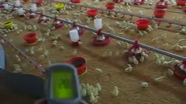 Distribucion de calor Criadora G12 смотреть онлайн