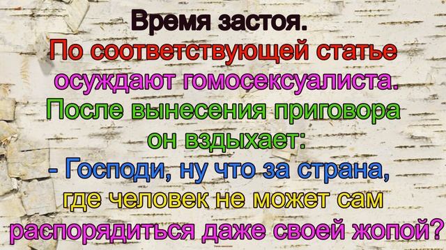 Смешные анекдоты про котёнка, тигрёнка, мужские трусы и ласкового фермера смотреть онлайн
