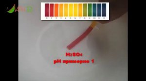 Ньюсорб М mp4