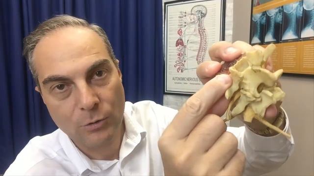 Ep23. Can Exercises Help Improve L4-L5 Foraminal Stenosis (L4 L5 Disc Bulge) Dr. Walter Salubro смотреть онлайн