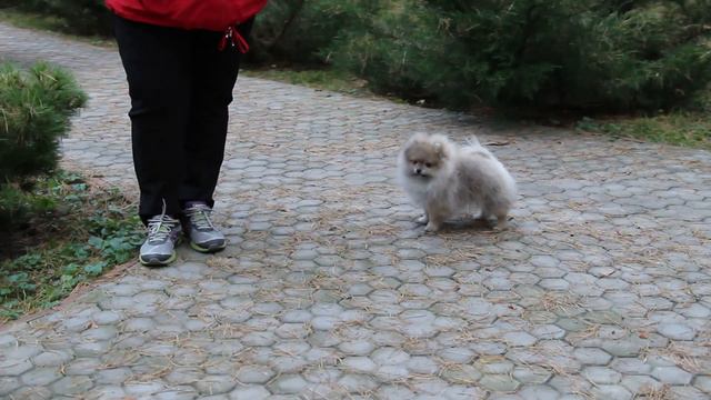 MVI 05211 смотреть онлайн