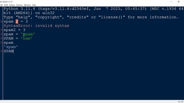 Python for Beginners | #5 Naming Conventions (Identifiers) смотреть онлайн