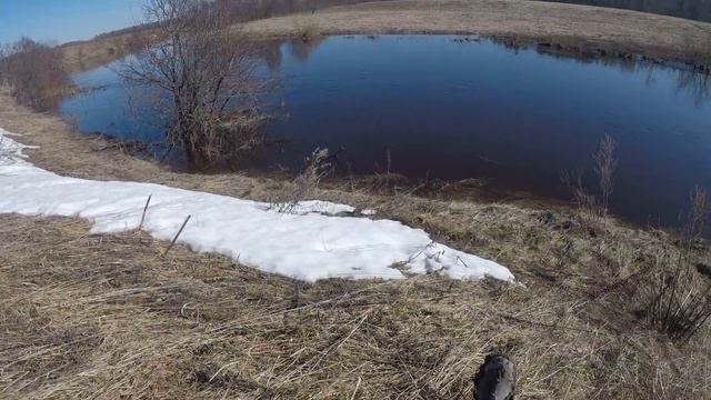 Топать, ехать и бежать..... Ранняя весна. смотреть онлайн