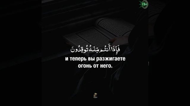 Сура 36 Йа Син аят 77 Коран смотреть онлайн