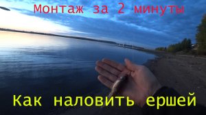 Как быстро наловить живца на НАЛИМА . Монтаж оснастки. #рыбалка #всегданарыбалке#рыбалкананалима