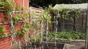 Мой сад огород в Германии